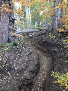 Where this race was won and lost.  Such.  Good.  Turns.  #loamtoyourdome  The foliage is a nice touch...